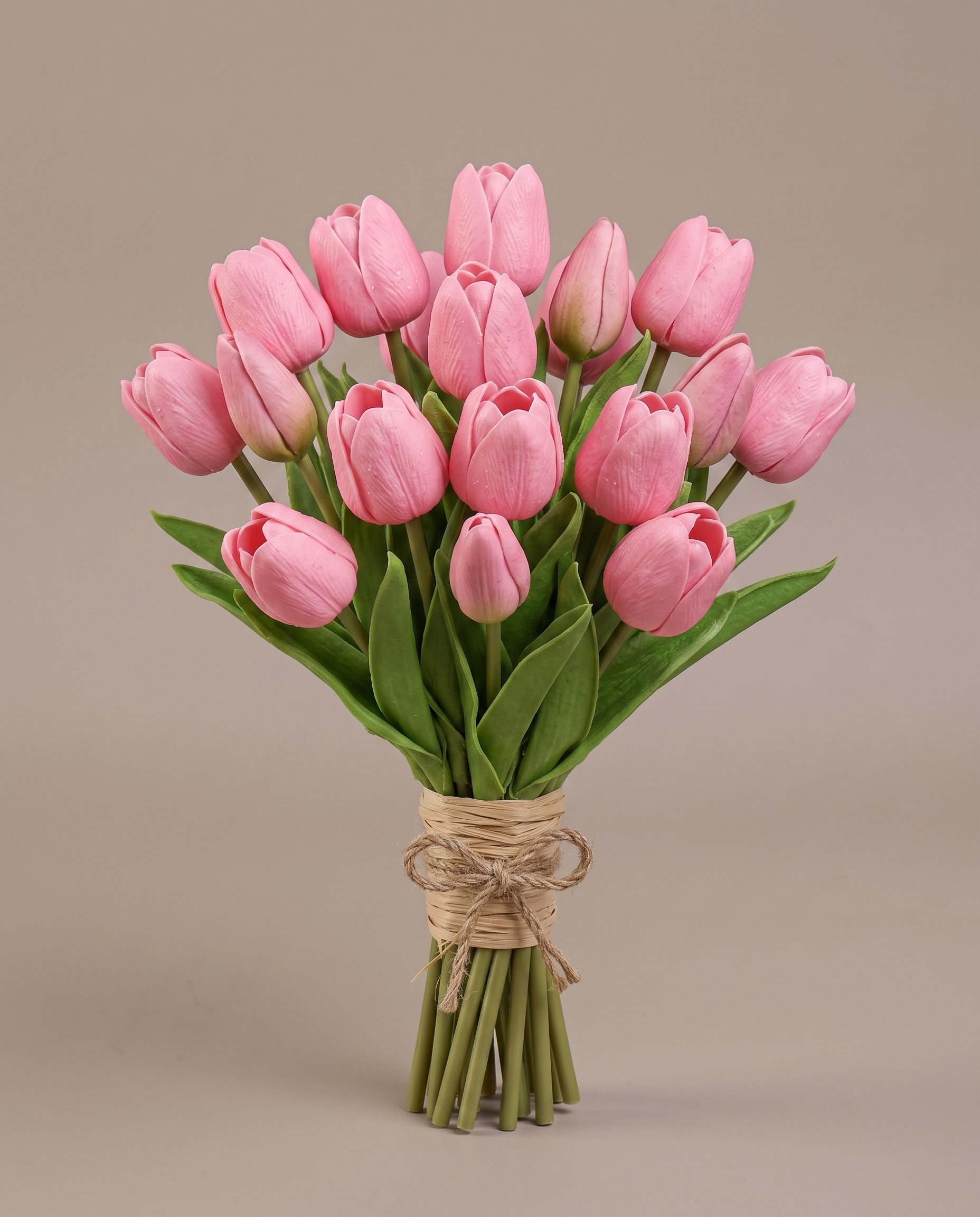 Tulip Flower